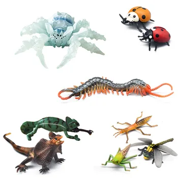 Simulatsioon Loomade Mudel Spider Sisalik Lepatriinu Tahke Putukate Mudel Laste Mänguasi Liiva Tabel Kaunistused Laste Mänguasjad Mänguasjad Fidget